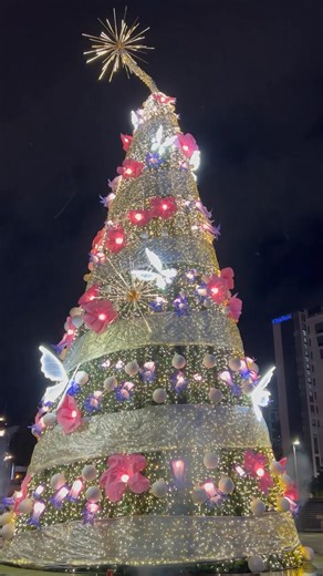 昨天The Spring圣诞树亮灯啦🎄大家昨天有去吗？可以留言跟大家分享一下~ | AmzKuching