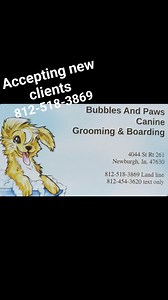 Bubbles and Paws Canine Grooming and Boarding is a small low key, secure environment with no turn over and over 30yr of canine education and hands on experience. Operated a 100% by appointment only. Offering individual or group care for your pet's staycation. And able to handle all your pets medical needs. Looking forward to chatting with you. 812 518 3869 Newburgh, In. | Bubbles & Paws Canine Grooming & Boarding | Facebook