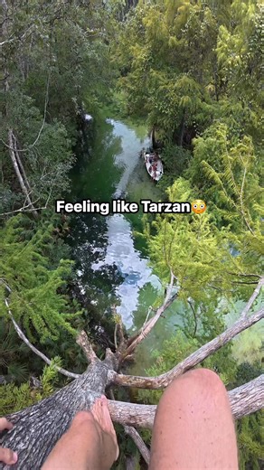 3K views | Insane tree with a 50ft jump and a rope swing #tree #flips #tarzan #pov | Matts Jumps | Facebook