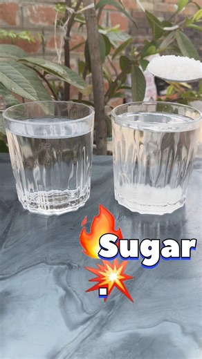 Sugar And Salt Experiment #shorts #experiment #magictrick #scienceexperiment