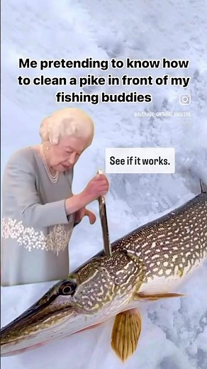 Filleting Northern Pike Boneless