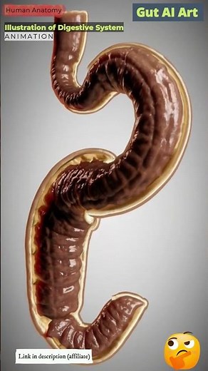 Digestive System Struggling with Constipation Animation | Gut AI Art | 02
