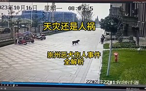 四川成都崇州恶犬伤人事件全解析