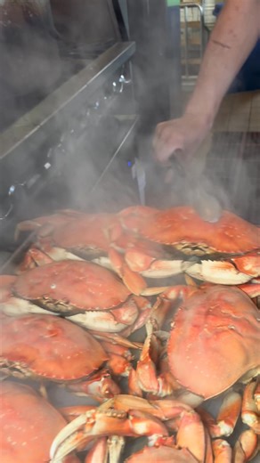 Exceptional SF Restaurant of the Year 2024! Fresh seafood & stunning views. Fog Harbor on PIER 39 | Fog Harbor Fish House