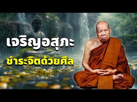 เจริญอสุภะ ชำระจิตด้วยศีล #หลวงปู่เหรียญ วรลาโภ ##พุทธวจน