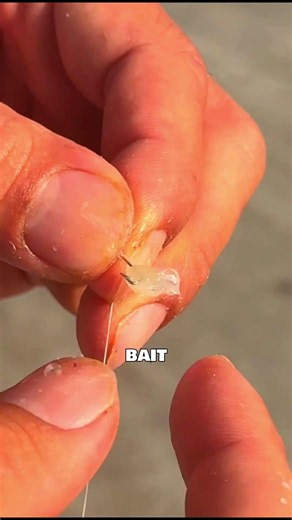 One Tiny Hook. One Amazing Catch. 🐠🎣