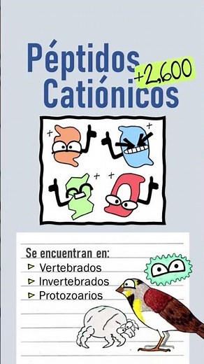 Pequeñas Proteínas Protectoras | Defensinas y Catelicidinas | En un minuto