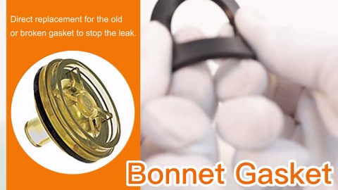 94138 Gasket Repair Kit for Febco 765 1-Inch Febco & Blue Heron 1-Inch Bonnet Poppet Assemblies