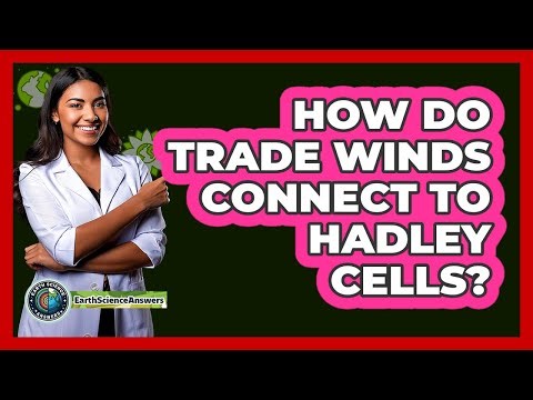 How do Trade Winds connect to Hadley Cells?