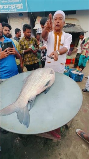 1400 taka kg Padma Katla fish #need_01748147474 ##need_01712293380 #foryou #fish