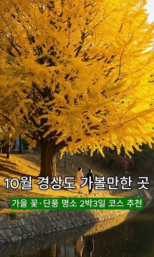 10월 경상도 가볼만한 곳! 가을 꽃·단풍 명소 2박3일 코스 추천