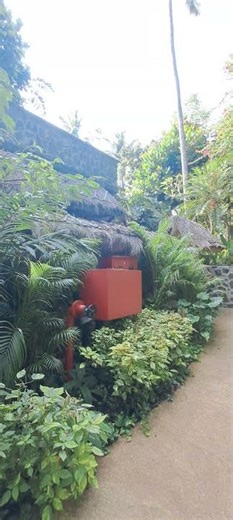 Path way of Taj kovalam rooms 5 Start hotel in kerala beach view