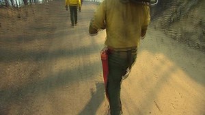 Tree fallers get to work after California wildfires