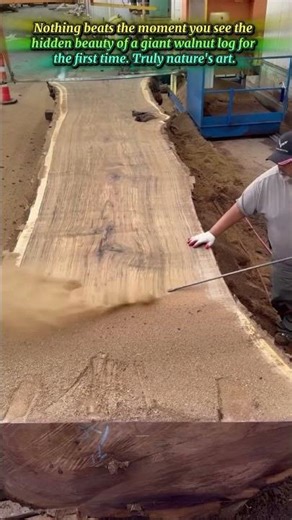 Satisfying Air Blast Reveals Stunning Walnut Wood Grain Patterns