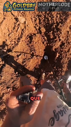 66K views · 805 reactions | Hit a huge rock with quartz and gold inside #gold #prosepecting #metaldetecting #goldmining #fyp | Goldbay Private Reserve | Facebook