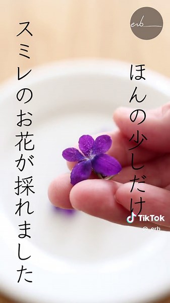 手作りスミレシロップの作り方♪