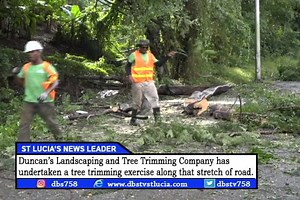 In order to make the Millennium highway safer for traveling - landscaping company Duncan’s Landscaping and Tree Trimming - has undertaken a tree trimming exercise along that stretch of road. Some drivers have complained that the overgrown bushes and trees obstruct their views and also cause accidents. Don Nicholas has more | Dbstvstlucia