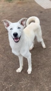 3K views · 156 reactions | STORM (1213237) *HIGH RISK! TIME IS...