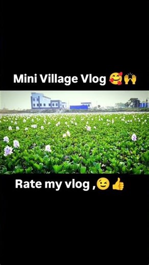 mini Village Vlog 🥰🙏😊 #vbloger #explorepage #vlog #shortvideo #funny #video#youtubevloggers