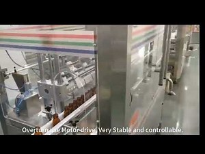 Automatic Bottle Washing Machine | Efficient & Hygienic Cleaning for All Bottle Types