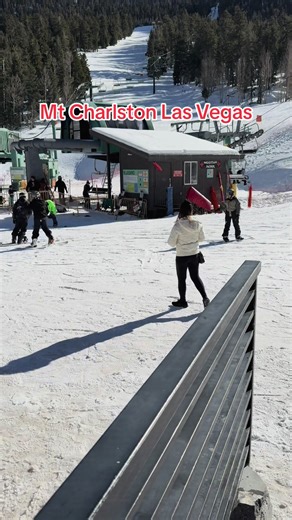 Snowy Adventures at Mt Charleston, Las Vegas