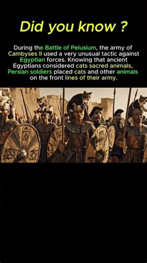 The Battle Won With Cats #ancienthistory #battlehistory #militaryhistory #historyshorts