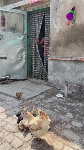 #biao #mrbiao #biaochina #viralvideo #foryoupage | chinese girl