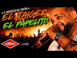El Taiger - The Little Paper (Live) Cubaton