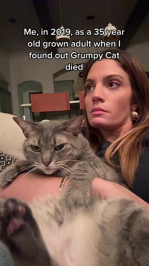 Remembering Grumpy Cat: A Tribute to Tardar Sauce