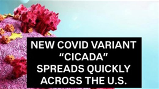 Meet 'Cicada': The new COVID variant doctors are watching