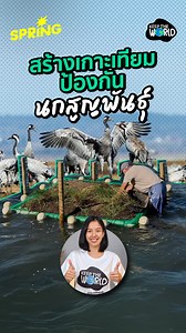 6.7K views · 63 reactions | นักวิทย์สร้างเกาะเทียม...