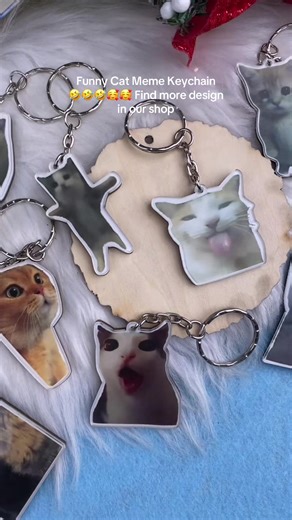 Funny Cat Meme Keychain - Perfect Gift Idea!