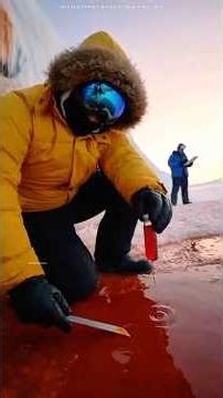 Why This Glacier Bleeds Blood — Blood Falls Explained