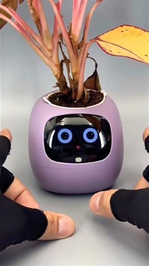 This AI Plant Pot Knows More About Your Plant Than You Do 🌱 #planttech #sensitiveplant #shortvideo