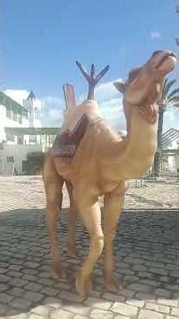 tunesia lagullete 13 Mar 2026