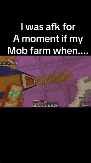 Mysterious Mob Farm Encounter in Minecraft