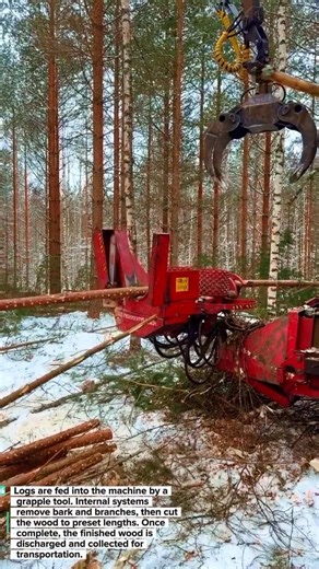 Red Wood Processor Prepares Logs into Raw Material Fast!