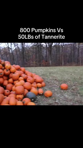 Worth the wait #tannerite #boom #fun #fall