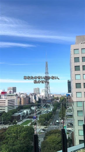 Japanese Phrase Translation: あなたのせいじゃない、私のせい。