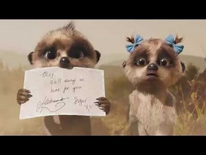 Compare the Meerkat - Advert 93