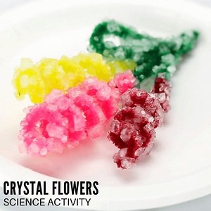 How To Make Crystal Flowers - Little Bins for Little Hands