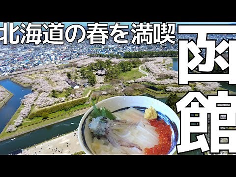 [Hokkaido Sightseeing]Cherry blossoms in full bloom and Goryokaku. Part ①