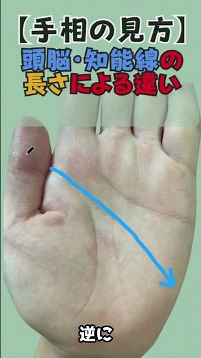 【手相解説】長さに優劣なし！頭脳線・知能線から読み解くあなたの本当の強みと活かし方 #手相 #手相占い #頭脳線 #知能線 #手相の見方 #占い #スピリチュアル #自己分析 #性格診断