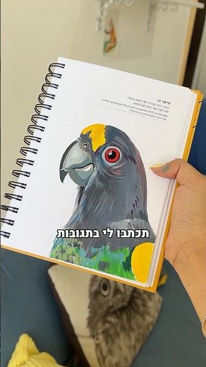 Drawing a drawing assignment from my guided sketchbook - Timer 38