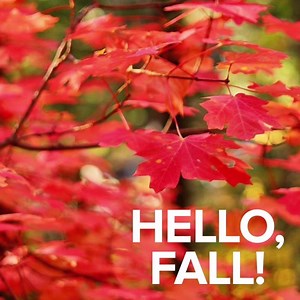 80K views · 7.3K reactions | We made it!  | ABC15 Arizona | Facebook