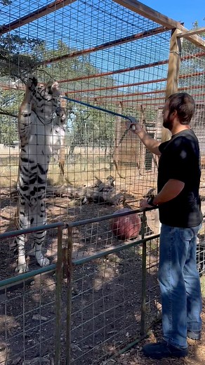 933K views · 37K reactions | The zookeeper package allows you to...