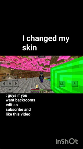 I changed my skin #minecraft #helpmemakethismakesense #minecraftsurvivalseriesepisode1