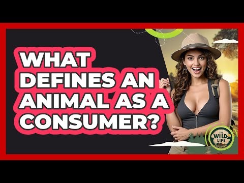 What Defines An Animal As A Consumer?