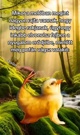 Vicces Magyar Szpenszer Filmek - Kac-Kac