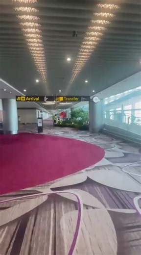 Exploring Singapore Changi Airport for the First Time The Hidden Attractions, Stunning Architecture